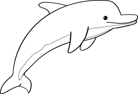 Cute Dolphin Coloring Page